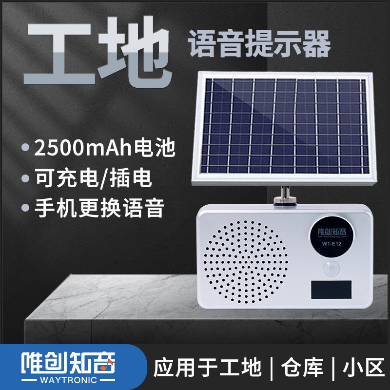 WT-E12 工地安全語(yǔ)音提示器